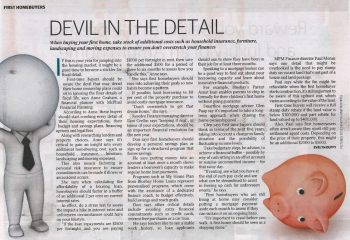devil in detail article